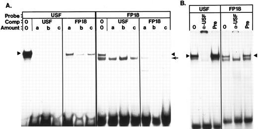 Fig. 8. Identification of a binding site for USF in FP18. (A) Cross competition between an oligonucleotide containing a known USF binding site (Table 1) and the FP18 oligonucleotide (K562 extract). Probes and competitors are indicated above the lanes. The amount of competitor added in lanes marked a, b, and c was 20, 40, and 80 ng, respectively. The band marked with the arrowhead is USF; the band marked with the small arrow is CSBP-2. The faster migrating complex formed on the USF probe was not identified, but this complex is also competed efficiently by FP18. (B) Antibody supershifts of the USF complex on the USF oligonucleotide and on FP18. Assays were performed as described in Materials and Methods. In each set of three lanes, lane 1 contains a standard binding assay, lane 2 contains 0.3 mL of anti USF antibody, and lane 3 contains a similar amount of pre-immune serum. Arrowhead, USF complex.