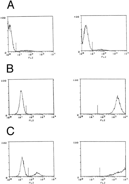 Fig. 1. B7 expression by C1498 leukemia. C1498 leukemia cells or lines with either murine B7-1 or B7-2 cDNA introduction were stained with CTLA-4Ig and goat antihuman IgG biotin plus SA-PE and fluorescence intensity measured by flow cytometry. Control staining (lefthand figures) was performed in the absence of CTLA-4Ig. (A) C1498, (B) C1498B7-1, and (C) C1498B7-2.