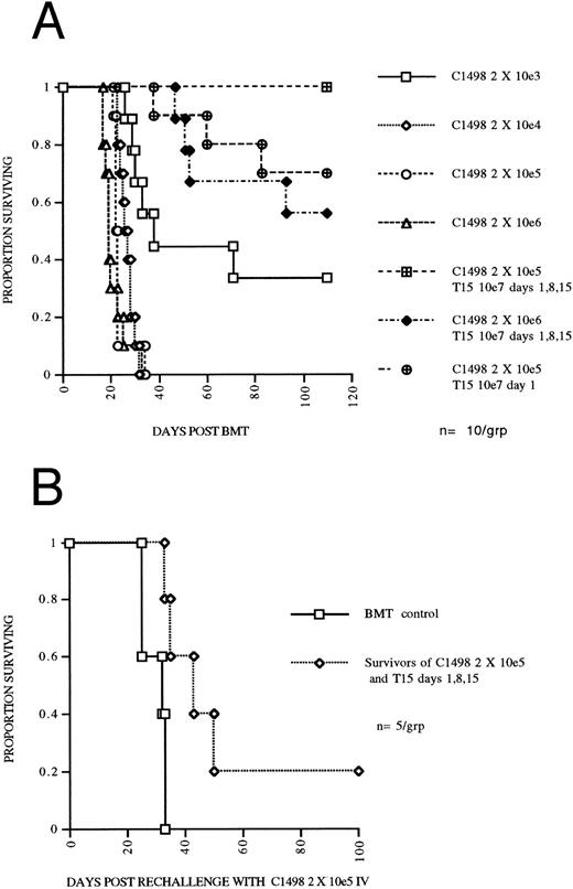Fig. 4. (A) CTL line T15 mediates an apparent three log reduction of leukemia in an autologous BMT model. C57Bl/6 mice were irradiated with 800 cGy TBI and transplanted with 5 × 106 syngeneic BM and received graded doses of C1498 leukemia cells IV on day 0. Two groups received T15 CD8+ CTL cells 107 IV on days 1, 8, and 15. (B) Persistence of adoptively transferred T15 CTLs. Mice surviving until day 70 following 2 × 105 C1498 leukemia and receiving T15 107 cells on days 1, 8, and 15 were rechallenged with 2 × 105 C1498 leukemia. Control mice had received syngeneic BMT 70 days before challenge with 2 × 105 C1498 leukemia.