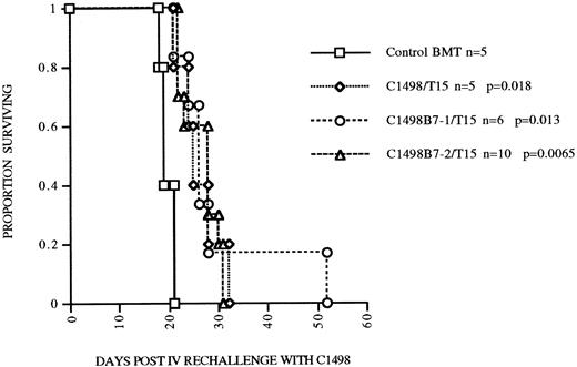 Fig. 6. Persistence of T15 GVL effect postsyngeneic BMT is not dependent on or enhanced by in vivo B7 costimulation. Mice surviving until 105 days post BMT having received either C1498, C1498B7-1, or C1498B7-2 leukemia and T15 CTLs were rechallenged with 2 ×105 C1498 leukemia cells. Control mice received syngeneic BMT alone 105 days before. P values shown are compared to control BMT group.
