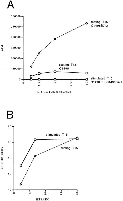 Fig. 7. Optimally “rested” T15 CTL cells undergo significant in vitro autonomous expansion in response to B7 costimulation by leukemia, but do not have an apparent equivalent response to costimulation in vivo. CTL line T15 was stimulated 2 weeks previously with irradiated C1498B7-2 and expanded the first week in IL-2 100 U/mL. In the second week, “resting” T15 CTL were maintained in 5 U/mL IL-2 while “stimulated” T15 CTL continued to expand in 100 U/mL of IL-2. These 2 populations were studied in vitro and in vivo on the same day. (A) “resting” versus “stimulated” T15 CTL were stimulated with paraformaldehyde fixed C1498 or C1498B7-2 in vitro in the absence of exogenous IL-2 for 48 hours, and thymidine incorporation measured the last 16 hours. As a positive control incorporation of thymidine without leukemia stimulation in the presence of IL-2 100 U/mL was measured and found to be 153,967 for “resting” T15 CTL and 185,437 for “stimulated” T15 CTL. (B) Cytotoxicity of chromium labeled C1498 by “resting” versus “stimulated” T15 CTL measured in a 4-hour chromium release assay. (C) Female B6 mice were irradiated to 500 cGy on day −1, and received C1498 or C1498B7-2 105 IV on day 0. On day +1 mice received either 5 × 106 “rested” or “stimulated” T15 CTL or no treatment. (D) Survivors from the above experiment were rechallenged on day 120 with C1498 105 IV with aged matched female B6 mice serving as controls.