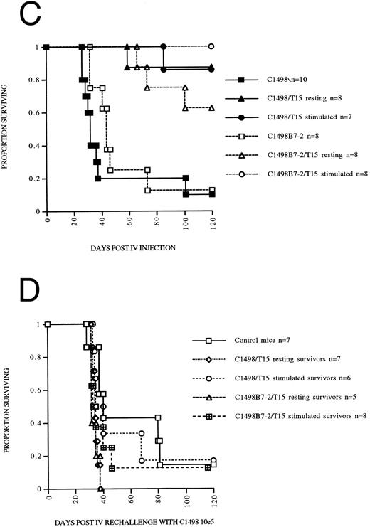 Fig. 7. Optimally “rested” T15 CTL cells undergo significant in vitro autonomous expansion in response to B7 costimulation by leukemia, but do not have an apparent equivalent response to costimulation in vivo. CTL line T15 was stimulated 2 weeks previously with irradiated C1498B7-2 and expanded the first week in IL-2 100 U/mL. In the second week, “resting” T15 CTL were maintained in 5 U/mL IL-2 while “stimulated” T15 CTL continued to expand in 100 U/mL of IL-2. These 2 populations were studied in vitro and in vivo on the same day. (A) “resting” versus “stimulated” T15 CTL were stimulated with paraformaldehyde fixed C1498 or C1498B7-2 in vitro in the absence of exogenous IL-2 for 48 hours, and thymidine incorporation measured the last 16 hours. As a positive control incorporation of thymidine without leukemia stimulation in the presence of IL-2 100 U/mL was measured and found to be 153,967 for “resting” T15 CTL and 185,437 for “stimulated” T15 CTL. (B) Cytotoxicity of chromium labeled C1498 by “resting” versus “stimulated” T15 CTL measured in a 4-hour chromium release assay. (C) Female B6 mice were irradiated to 500 cGy on day −1, and received C1498 or C1498B7-2 105 IV on day 0. On day +1 mice received either 5 × 106 “rested” or “stimulated” T15 CTL or no treatment. (D) Survivors from the above experiment were rechallenged on day 120 with C1498 105 IV with aged matched female B6 mice serving as controls.
