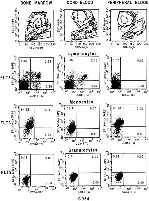 Fig. 2. Coexpression of FLT3 and CD34 in BM, CB and PB gated on cells with low side scatter (lymphocytes and progenitor cells), intermediate side scatter (monocytes), or high side scatter (granulocytes). Cells were labeled with anti-CD34-FITC and biotinylated FLT3-specific MoAb SF1.340 and stained with streptavidin-phycoerythrin (SA-PE). A mixture of IgG1-FITC and IgG1-biotin stained with SA-PE was used as control. Fifty thousand cells were analyzed on a FACSCalibur flow cytometer.