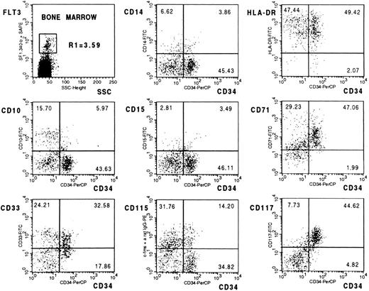 Fig. 4. Dot-blot analysis of unseparated BM cells triple-stained with CD34-PerCP, biotinylated FLT3 specific MoAb SF1.340 (plus SA-PE), and the indicated FITC-conjugates. All plots represent cells sequentially gated on low side scatter and the FLT3+ population (R1).