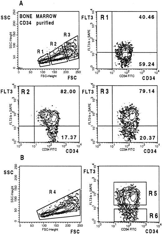 Fig. 5. (A) FLT3 expression on MACS-selected CD34+ BM cells. Three gates with different light scatter characteristics (R1-R3) were chosen to analyze FLT3 expression on differently sized cells. Cells were stained and analyzed as described in Fig 2. (B) After dual scatter gate setting on purified CD34+ cells (bottom left) the two indicated sort windows were used to select CD34+FLT3+ and CD34+FLT3− cells for CFC and CAFC assays (bottom right).