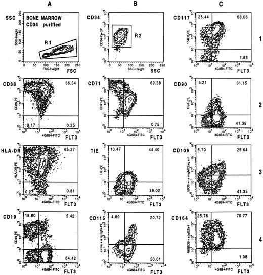 Fig. 7. Contour-plot analysis of triple-stained CD34-selected BM cells. Cells were labeled with CD34-PerCP, FLT3 specific MoAb 4G8-FITC, and the indicated PE-conjugates. All plots represent cells gated on the CD34+ population (not shown).