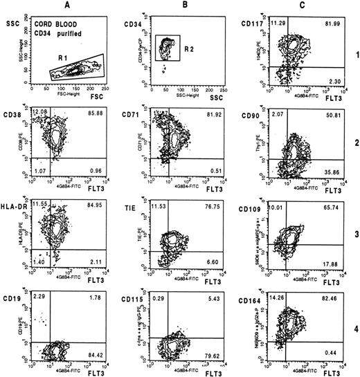 Fig. 8. Contour-plot analysis of triple-stained CD34-purified CB cells. Cells were labeled with CD34-PerCP, FLT3-specific MoAb 4G8-FITC, and the indicated PE conjugates. All plots represent cells gated on the CD34+ population.