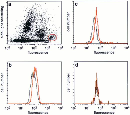 Fig. 3. Expression of FasL in native malignant plasma cells from myeloma patients. (a) Typical side light scattering profile of a BM sample from a myeloma patient stained with a PE-conjugated CD38 MoAb. The plasma cell population was defined by its unique position at a very low side light scattering profile and highest CD38 expression levels29 and gated (red circle) for further analysis. (b and c) Analysis of FasL expression in the gated plasma cell population of two patients with multiple myeloma (nos. 4 and 6, Table 2). A significant shift in fluorescence intensitiy in samples stained with the NOK-1 FasL antibody (red line) was observed when compared with samples treated with the isotype-matched control MoAbs only (black line). (d) FasL negative plasma cell sample (no. 1, Table 2).
