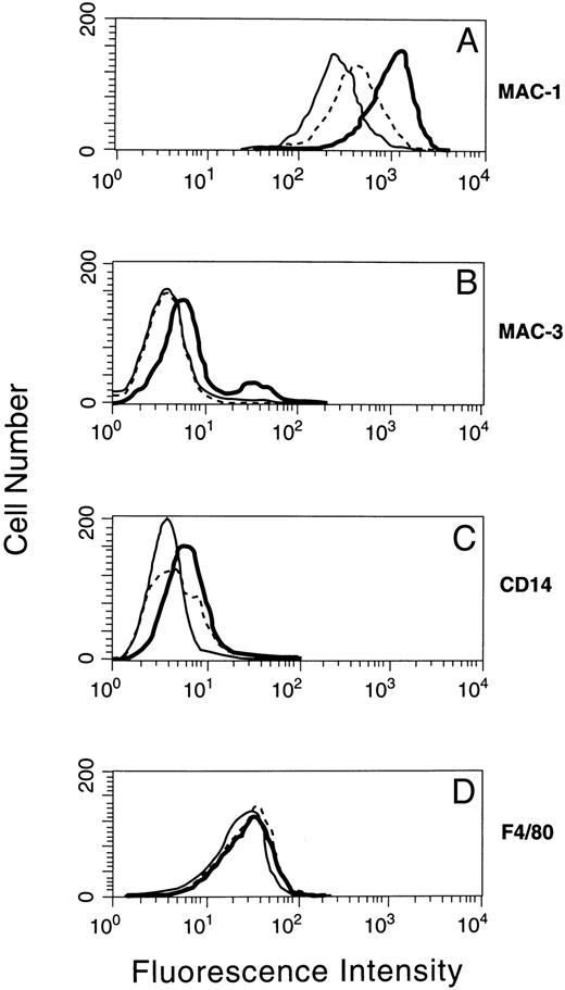 Fig. 6. Macrophage lineage antigen expression in 32D cells induced to synthesize p19. A p19-inducible 32D subclone grown in IL-3 plus zinc for 4 days was stained with fluorescent antibodies directed to MAC-1 (A), MAC-3 (B), CD14 (C), and F4/80 (D) as detected by flow cytometry. The staining profiles of parental 32D cells (solid line) and of clone 2C cells grown in the absence (dotted line) or presence (bold line) of zinc are indicated in each panel.