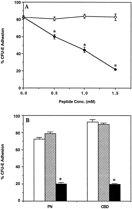 Fig. 3. (A) Effect of the synthetic peptide GRGDSP on adhesion of CFU-E to the CBD fragment of FN. Bone marrow cells were incubated in wells coated with CBD in the presence of the indicated concentrations of GRGDSP (•) or GRGESP (○) peptides. (B) Effect of integrin β1 subunit antibody on adhesion of CFU-E to FN and the CBD fragment of FN. Bone marrow cells were incubated in wells coated with FN or CBD in the absence of antibody (□), or in the presence of 100 μg/mL nonimmune rabbit IgG (▨), or 100 μg/mL β1 subunit antibody (▪). For both (A) and (B), the nonadherent and adherent populations of cells were then assayed for CFU-E and results are expressed as the mean percent cell adhesion ± SEM (n = 3), *P ≤ .02.
