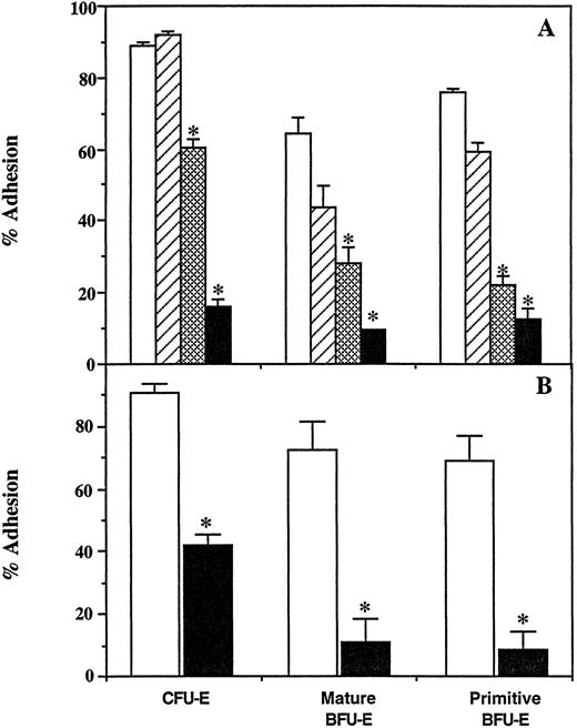Fig. 5. Effect of β1 subunit antibody and R1-2 monoclonal antibody on adhesion of erythroid progenitors to 30-/35-kD heparin binding fragments of FN. (A) Bone marrow cells were incubated in wells coated with untreated (□, ▧) or heparin-treated (▨, ▪) 30-/35-kD fragments in the absence (□, ▨) or presence (▧, ▪) of β1 subunit antibody. A total of 100 μg/mL of β1 subunit antibody was used for BFU-E assays, while 200 μg/mL was used for CFU-E assays. Unattached and attached population of cells were then assayed for erythroid progenitors. The level of adhesion in the presence of nonimmune IgG was identical to the adhesion observed in the absence of antibody. (B) Bone marrow cells were incubated in wells coated with 30/35-kD fragments in the absence (□) or presence (▪) of R1-2 hybridoma conditioned medium. A 0.5× concentration of R1-2 medium was used for BFU-E assays, while a 4× concentration was used for CFU-E assays. Unattached and attached populations of cells were then assayed for erythroid progenitors. Adhesion in the presence of concentrated control medium was identical to adhesion in either IMDM or in the presence of nonimmune IgG. The results are expressed as the mean percent cell adhesion ± SEM (n ≥ 2), * P ≤ .05.