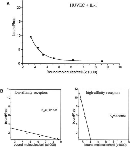 Fig. 4. Binding of 125I-SCF to HUVEC exposed for 4 hours to IL-1α (A). 2 × 106 cells were incubated with varying concentrations of 125I-SCF with and without 100-fold excess of cold SCF at 4°C. Scatchard analysis of c-kit receptors on HUVEC exposed for 4 hours to IL-1α (B). A representative experiment out of three is presented; each experiment used a single batch of HUVEC.