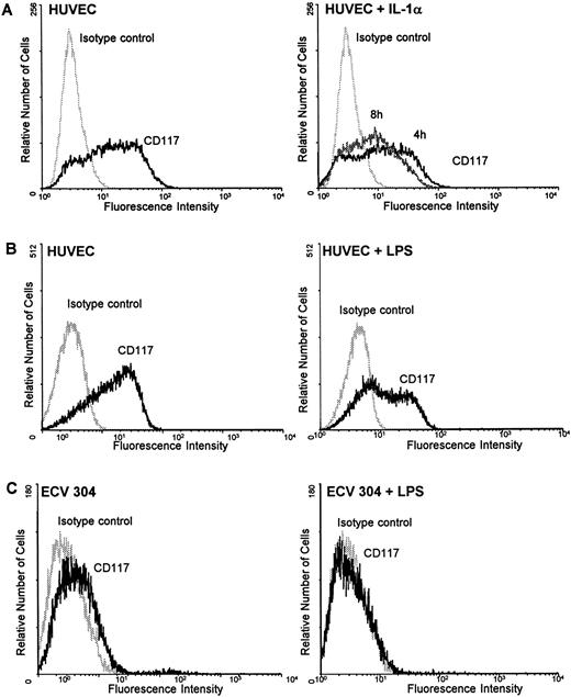 Fig. 5. IL-1α and LPS downregulate c-kit receptor expression on the surface of HUVEC and ECV 304 (A through C) but not on CD34+ cells (D and E). Cells were stained using direct immunofluorescence with a PE-conjugated anti-CD 117 MoAb (anti–c-kit) (CD34+ cells) or indirect immunofluorescence using a PE-labeled secondary antibody (HUVEC, ECV 304). Background fluorescence (control) was measured using an irrelevant isotype FITC-conjugated antibody.