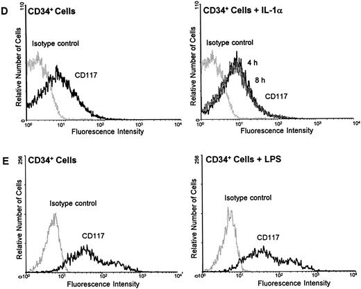 Fig. 5. IL-1α and LPS downregulate c-kit receptor expression on the surface of HUVEC and ECV 304 (A through C) but not on CD34+ cells (D and E). Cells were stained using direct immunofluorescence with a PE-conjugated anti-CD 117 MoAb (anti–c-kit) (CD34+ cells) or indirect immunofluorescence using a PE-labeled secondary antibody (HUVEC, ECV 304). Background fluorescence (control) was measured using an irrelevant isotype FITC-conjugated antibody.
