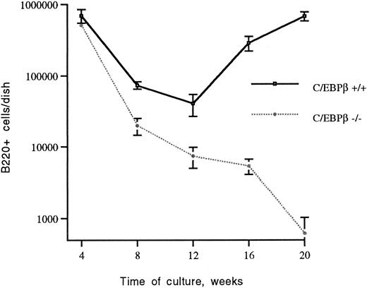 Fig. 1. Generation of B lymphocytes in long-term cultures of BMs of C/EBPβ+/+ and C/EBPβ−/− mice. BM cells of C/EBPβ+/+ mice and C/EBPβ−/− mice were cultured at 106/mL in 10-cm tissue-culture dishes as detailed in Materials and Methods. At the indicated times, cultures were examined by flow cytometry for the number of B220+ cells. The data are expressed as the mean ± the standard deviations of five independent experiments.