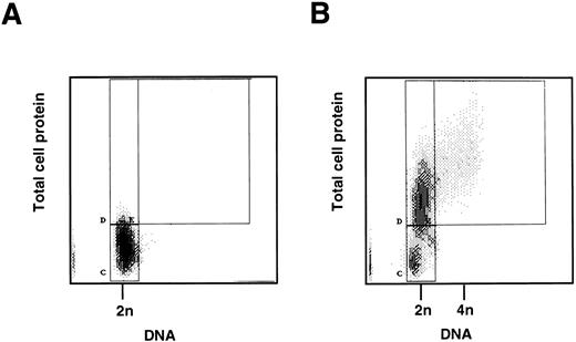 Fig. 1. (A) Two-color flow cytometric analysis of human CD34+ cells mobilized into the peripheral blood. CD34+ progenitor cells were isolated from peripheral blood following in vivo administration of cyclophosphamide and G-CSF. A total of 5 × 105 cells was fixed, stained, and analyzed by two-color flow cytometry for DNA and protein content as described in Materials and Methods. The quiescent cells form a homogeneous population (marked C) with 2n DNA and low protein content. (B) Two-color flow cytometric analysis of stimulated peripheral blood CD34+ cells. CD34+ progenitor cells as above were cultured in vitro with SCF, IL-3, and IL-6 for 2 days. Cells were then fixed, stained, and analyzed by two-color flow cytometry for DNA and protein content as described in Materials and Methods. The stimulated cells show two populations (marked C and D) with 2n DNA, but D has an increased protein content. This is consistent with the cells having moved from G0 (C) into the G1 phase of the cell cycle (D). Cells to the right of box D (marked E) are in S and G2/ M phases.