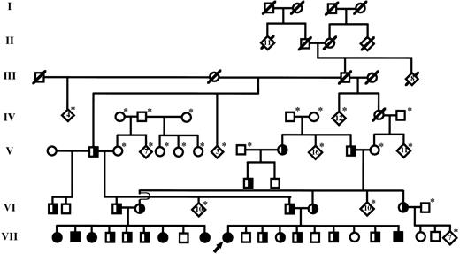 Fig. 1. Simplified diagram of the extended pedigree identified by the previously reported proband (denoted by arrow).22 Individuals within each generation (I-VII) are numbered consecutively from left to right (eg, proband is individual VII-10). Squares and circles represent males and females, respectively. Partially filled symbols represent individuals that carry a single copy of the null PAI-1 allele (heterozygotes). Completely filled symbols represent individuals that carry two copies of the null allele and are completely PAI-1 deficient (homozygous affected). Individuals known to be deceased are denoted by a slash mark. Living individuals not genotyped are denoted by an asterisk. Diamonds represent the indicated number of siblings.