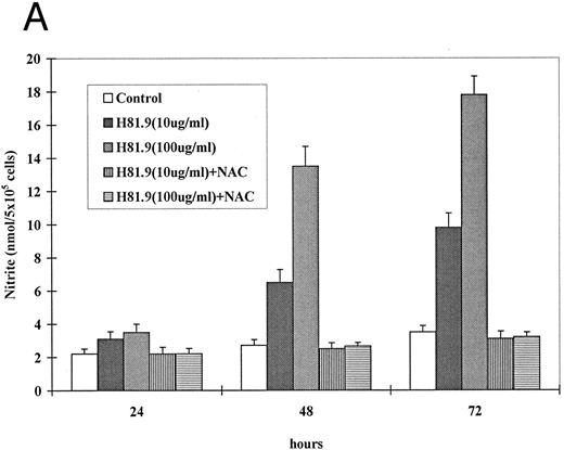 Fig. 5. Effect of NAC and SCF on nitric oxide generation and hematopoietic colony formation. (A) Nitric oxide generation (measured in the form of nitrite) in J774 cells. J774 cells were incubated with H81.9 (10 or 100 μg/mL) with or without the addition of NAC (15 mmol/L) for 1 to 3 days. In J774 cells NO production triggered by H81.9 was significant at 48 and 72 hours (P < .01); results in the presence of NAC were not different from controls. (B) Effect of sin-1, alone or in combination with NAC or SCF on colony formation from canine LTMCs. Sin-1 (100 μg/mL), NAC (0.5 mmol/L), and SCF (100 ng/mL) were added to LTMCs weekly beginning at the time of recharging. CFU-GM in sin-1–treated cultures were lower than in controls at all timepoints (see Fig 3). NAC significantly protected colony formation at 2, 3, and 4 weeks (P < .01). SCF had a protective effect in weeks 1 and 2 (P < .01) but not at later points. Shown are the means ± SEM of three experiments expressed as percent of controls.
