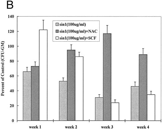 Fig. 5. Effect of NAC and SCF on nitric oxide generation and hematopoietic colony formation. (A) Nitric oxide generation (measured in the form of nitrite) in J774 cells. J774 cells were incubated with H81.9 (10 or 100 μg/mL) with or without the addition of NAC (15 mmol/L) for 1 to 3 days. In J774 cells NO production triggered by H81.9 was significant at 48 and 72 hours (P < .01); results in the presence of NAC were not different from controls. (B) Effect of sin-1, alone or in combination with NAC or SCF on colony formation from canine LTMCs. Sin-1 (100 μg/mL), NAC (0.5 mmol/L), and SCF (100 ng/mL) were added to LTMCs weekly beginning at the time of recharging. CFU-GM in sin-1–treated cultures were lower than in controls at all timepoints (see Fig 3). NAC significantly protected colony formation at 2, 3, and 4 weeks (P < .01). SCF had a protective effect in weeks 1 and 2 (P < .01) but not at later points. Shown are the means ± SEM of three experiments expressed as percent of controls.