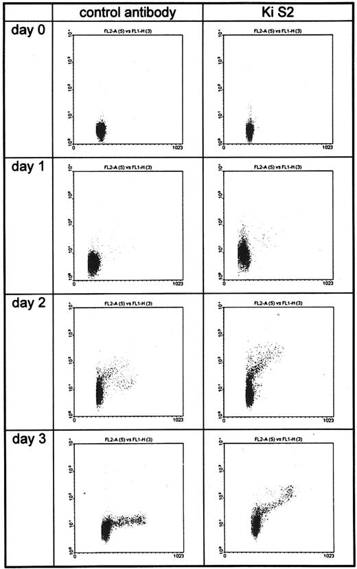 Fig. 2. Flow cytometric analysis of unstimulated (day 0) and PHA-stimulated PBMC (days 1 through 3). DNA staining was registered on a linear scale (FL1-A) and Ki-S2 staining on a log scale (FL2-H). Less than 1% of the unstimulated PBMC were positive. Twenty-four hours after PHA stimulation, a small population of the G1 cells became positive. On days 2 and 3, all cells in S/G2 and M phases bound Ki-S2.