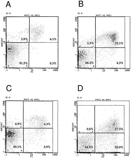 Fig. 3. Flow cytometric analysis of apoptosis in SMS-SB cells. Cultures of SMS-SB cells in PFHMII were established as described in the legend to Fig 2. After 24 hours of culture, the cells were harvested, stained simultaneously with propidium iodide and Hoechst 33342, and after gating on forward and side scatter parameters, analyzed by two-laser cytometry.35 (A) And (B), respectively, present the data for SMS-SB cells obtained from normal and low cell density cultures, and (C) and (D) illustrate the effect of either 100 ng/mL sCD23 or 20 U/mL IL-4, respectively, on the extent of apoptosis in the cultures. On the individual panels, the percentage figures shown on the lower left quadrant represent viable cells and those on the lower right represent dead cells. Values in the upper left quadrant refer to early apoptotic cells while those in the upper right represent late apoptotic cells. The experiment shown is representative of four independent repeats.