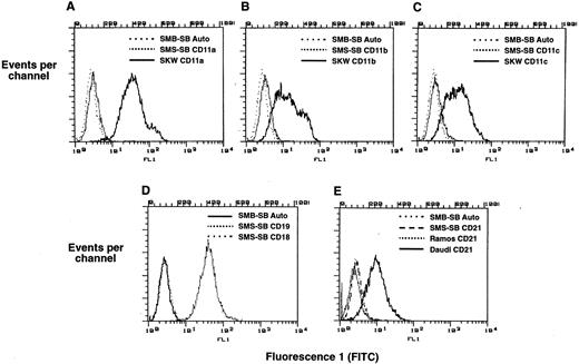 Fig. 6. Expression of CD21 and CD11 antigens by SMS-SB cells. Aliquots of SMS-SB and other B-lymphoid cell lines were harvested, washed in PBS, and stained with FITC-conjugated MoAbs specific for the CD11a, CD11b, CD11c, CD18, CD19, and CD21 antigens. After a 30- to 60-minute incubation, the cells were washed, and analyzed by flow cytometry; nonviable cells were excluded from acquisition by propidium iodide counter-staining, and each graph represents the data from 10,000 live-gated events. Line styles are indicated on the individual panels, and “auto” refers to autofluorescence of unstained cells. (A) CD11a expression on SKW and SMS-SB cells. (B) CD11b expression on SKW and SMS-SB cells. (C) CD11c expression on SKW and SMS-SB cells. (D) CD18 and CD19 expression on SMS-SB cells. (E) Expression of CD21 on Daudi, Ramos, and SMS-SB cells.