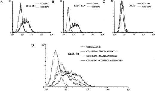 Fig. 7. Quantitation and specificity of liposome binding to SMS-SB and other B-lymphoid cell lines. Aliquots of SMS-SB (A), RPMI-8226 (B), and Raji cells (C) were mixed with either CD23-containing (solid line) or glycophorin-containing (broken line) fluorescent liposomes, washed and analyzed by flow cytometry for liposome binding. (D) Illustrates the binding data for SMS-SB and RPMI-8226 cells exposed to CD23-containing liposomes, which had been preincubated for 1 hour with 10 μg of EBVCS4 or MoAb25 anti-CD23 MoAbs before addition to the cells; the autofluorescence pattern of each cell is illustrated as a broken line.