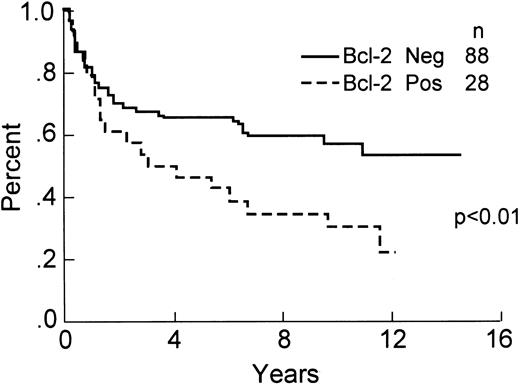 Fig. 4. OS of the 116 patients analyzed for expression of Bcl-2 protein by immunohistochemistry.