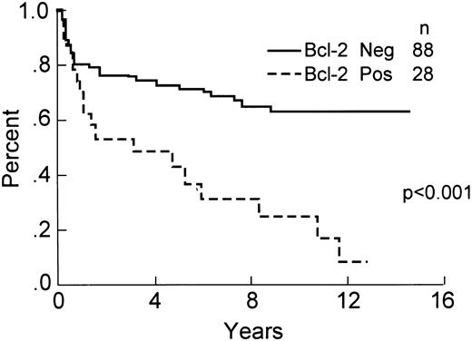 Fig. 5. DFS of the 116 patients analyzed for expression of Bcl-2 protein by immunohistochemistry.