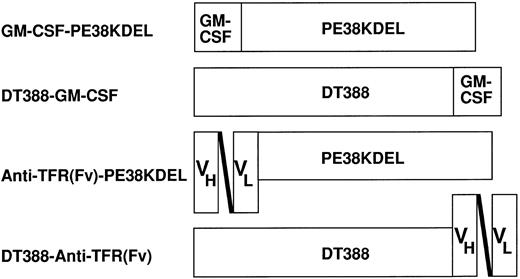 Fig. 1. Schematic diagram of the recombinant toxins used. GM-CSF–PE38KDEL, encoded by pRKGM9K, contains the 127 amino acids of human GM-CSF followed by amino acids 253 through 364 and 381 through 608 of PE and then the sequence KDEL. DT388–GM-CSF, encoded by pRKDTGM, contains the first 388 amino acids of DT followed by human GM-CSF. Anti-TFR(Fv)–PE38KDEL and DT388–anti-TFR(Fv), encoded by pRKHB9K and pJBDT1–anti-TFR(Fv), respectively, contain the same toxin domains as the respective GM-CSF toxins, but the ligand is the single-chain Fv of an antitransferrin receptor antibody.