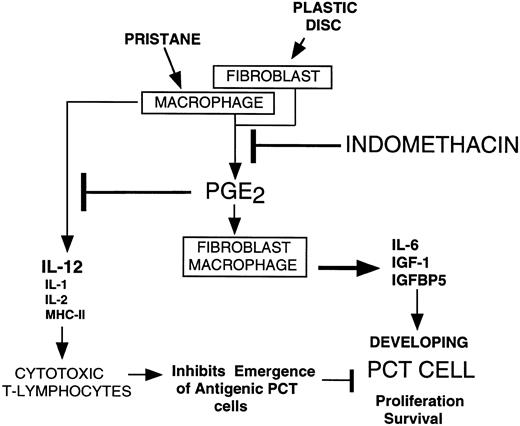 Fig. 5. Hypothetical scheme depicting how INDO inhibits plasmacytomagenesis. Pristane stimulates macrophages and plastic discs stimulate fibroblasts to produce PGE2 that acts in an autocrine fashion to cause these cells how to produce IL-6, IGF-1, and IGFBP5 that stimulate developing PCT cells to survive and proliferate. PGE2 inhibits production of macrophage factors IL-12, IL-1, IL-2, and MHCII (see text) that stimulate cytotoxic T lymphocyte formation. This potentially generates an immunologically permissive environment for antigenic plasma cells to escape immunological surveillance. Proof that this is a factor in plasmacytomagenesis is not yet available.