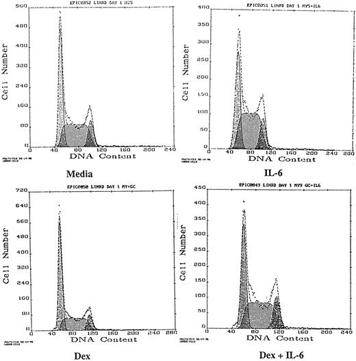 Fig. 1. Effects of Dex and/or IL-6 on cell cycle distribution of OCI-My5 MM cells. OCI-My5 cells (2 × 105/mL) were cultured with media alone, IL-6 (50 ng/mL), Dex (1 μmol/L), or both IL-6 (50 ng/mL) and Dex (1 μmol/L). Cell cycle distribution was analyzed by PI staining and FACS 16 hours later.