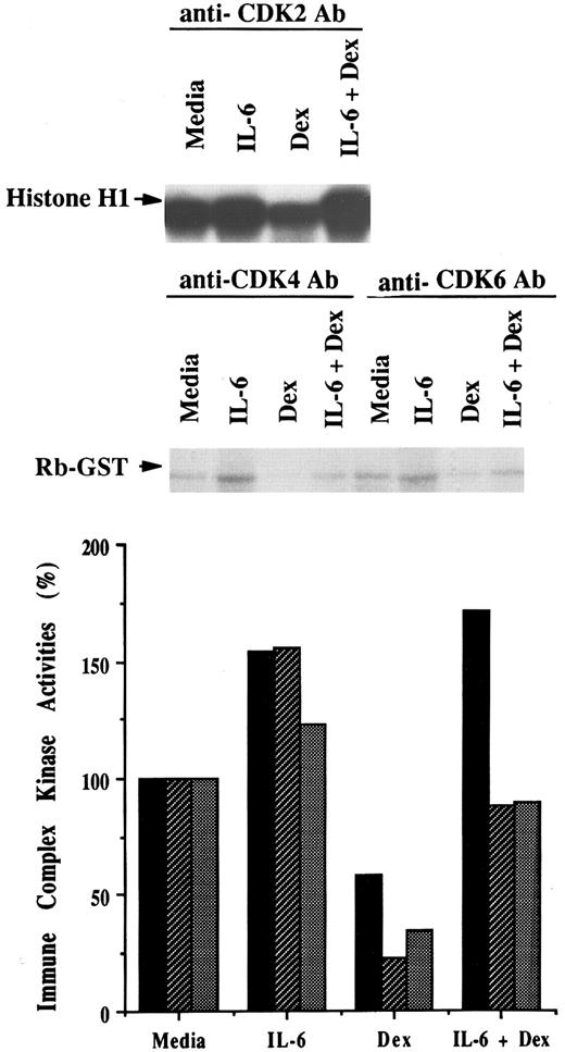 Fig. 6. Effects of Dex and/or IL-6 on CDK2, CDK4, and CDK6 protein kinase activities. OCI-My5 MM cells were cultured with media alone, IL-6 (50 ng/mL), Dex (1 μmol/L), or Dex (1 μmol/L) and IL-6 (50 ng/mL). Total lysates were prepared 16 hours later and immunoprecipitated with anti-CDK2, anti-CDK4, or anti-CDK6 polyclonal Abs. Histone H1 or GST-RB fusion protein was used as substrate for kinase activity assays of CDK2 immune complex or of CDK4 and CDK6 immune complexes, respectively. The intensity was quantitated with densitometry and relative kinase activities of CDK2 (▪), CDK4 (▨), and CDK6 () compared in cells cultured in media, IL-6, Dex, or both IL-6 and Dex.