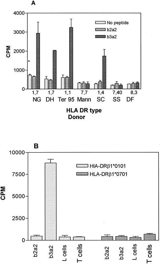 Fig. 3. HLA restriction of the b3a2 specific response. (A) Clone NG-1,Hll (4.0 × 104/well) T lymphocytes were incubated with 1 × 105 mitomycin C–treated EBV-transformed B-lymphoblastoid cells from individuals of known HLA-DR types (see Table 2) and b2a2 or b3a2 peptides at 20 μg/mL or equivalent volume of solvent. Results are the mean ± SEM of triplicate wells. (B) DRβ1*0101 transfected L cells present b3a2 peptide NG-1 cells (5.0 × .04/well) were incubated with 5 × 104 mitomycin C–treated L cells transfected with either HLA-DRβ1*0101 or HLA-DRβ1*0701 and 20 μg/mL of b2a2 or b3a2 peptide. L cells alone and NG-1 (T cells) alone were also included as negative controls. Mean ± SEM of triplicate wells are shown.