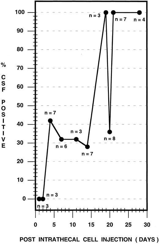 Fig. 3. CSF leukemic pleocytosis in the nude rat. CSF samples from both survival and timed histologic studies were used and sampling was performed as follows: Survival study (n = 14): Animals were selected at random for CSF sampling during the observation period and were sampled in groups of three to six animals at 4, 7, 14, 20, and 28 days postinjection. Timed histologic study (n = 27): Three animals each at 1, 2, 4, 7, 11, 14, and 19 days, two animals at 20 days, and seven animals at 21 days postinjection were sampled, followed immediately by death. The total number of CSF samples analyzed is depicted for each time point.