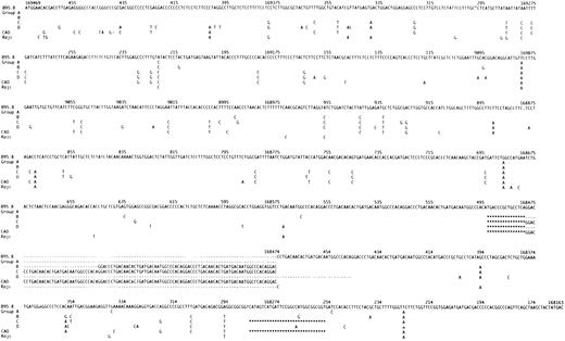 Fig. 1. The nucleotide sequence of LMP-1 in the EBV strain B95.8 compared with our sequencing data for wild-type isolates, designated Groups A through D according to the pattern of mutations, and with CAO and Raji11 for comparison. Most of the isolates contained occasional additional single base mutations (see Table 1). For Groups A through D, CAO and Raji only differences compared to B95.8 are shown. Nucleotide numbering is according to Baer et al.34 Deletions are indicated with (***); the repeat region is indicated with (- - -).The number of 33-bp repeats varied within Groups B through D. A representative repeat region is shown for each group.