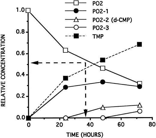 Fig. 5. Kinetics curves (relative ODN concentrations as a function of time) of the 3′ hydrolysis of a 25 μmol/L solution of PO2 on incubation at 37°C in RPMI 1640 containing 2.5% HS. PO2-1, PO2-2, and PO2-3 represent, respectively, the PO2 sequence minus 1, 2, and 3 deoxyribonucleotides at the 3′ end. PO2 half-life (38 hours) is indicated by the position of the two arrows. The dashed curve (symetrical to the PO2 curve) indicates the theoretical TMP relative concentration generated by hydrolysis of the PO2 3′ very last linkage. The PO2-2 curve represents also the maximal d-CMP relative concentration generated by hydrolysis of the PO2-1 3′ very last position.