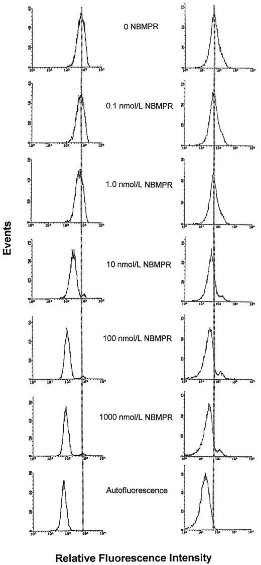 Fig. 4. Fluorescence histograms of CEM T-lymphoblasts and myeloblasts from AML patient H.M. stained with 5-(Sx8)-F in the presence of graded concentrations of NBMPR. Cells were treated with NBMPR at the concentrations shown before staining with 80 nmol/L 5-(Sx8)-F (CCRF-CEM cells) or 20 nmol/L 5-(Sx8)-F (myeloblasts from patient H.M.) and analysis by flow cytometry. Each fluorescence histogram represents the analysis of 10,000 cells. With increasing concentrations of NBMPR, the decrease in fluorescence indicates a progressive blockade of 5-(Sx8)-F sites on the es transporter. Left series, CEM cells; right series, myeloblasts from patient H.M.