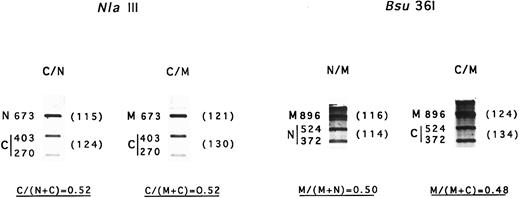 Fig. 4. Amount of mRNA Coimbra and mRNA Mondego. N, normal cDNA fragment; C, Coimbra cDNA fragment; M, Mondego cDNA fragment. Two different RT-PCR amplification products were used. They were digested with NlaIII (+, 403- + 270-nt bands; −, 673 nt) and Bsu36I (+, 524- + 372-nt; −, 896 nt), respectively, and electrophoresed. The fragments were stained with ethidium bromide and scanned. Parentheses contain the peak surface areas (arbitrary units).