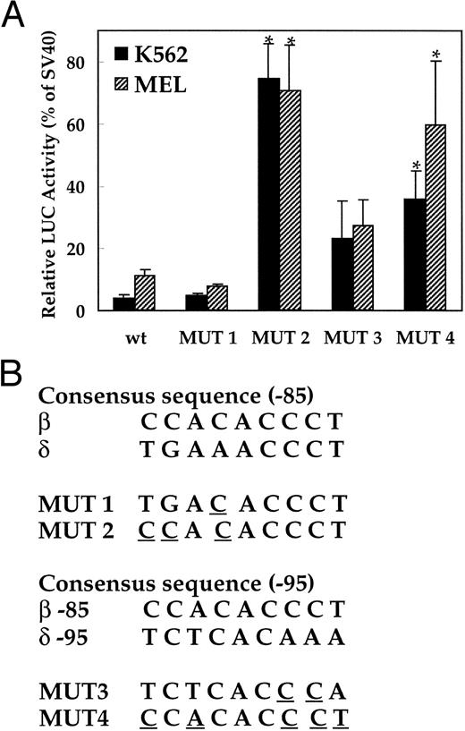 Fig. 4. Activation of the human δ-globin gene promoter by inserting EKLF binding sequences. LUC activity is relative to that of the SV40 promoter. (A) LUC activity of the mutant plasmids transfected into K562 cells and MEL cells. (B) Consensus sequence of the EKLF binding site and the mutation created in each plasmid. Since the EKLF binding site in the β-globin gene does not match well with the δ-globin gene sequence (Fig 1B), 2 segments of the δ-globin gene with partial matches to a CAC box (centered at about −85 and −95) were mutated as indicated and tested for effects on expression. The wt plasmid contains the −612 to +68 bp portion of the δ-globin promoter. *Difference (P < .05) from the wild-type plasmid.