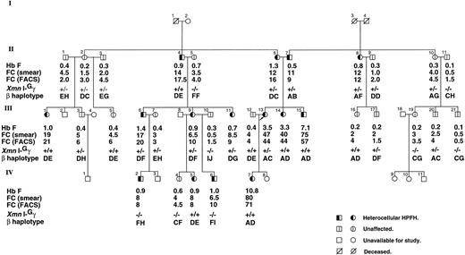 Fig. 1. Pedigree of the English family with Hb F and F-cell levels by smear and FACS, β haplotype, and XmnI-Gγ site. β haplotype is constructed for 7 RFLPs, HindII-ε, HindIII-Gγ, HindIII-Aγ, HindII-Ψβ, HindII-3′Ψβ, AvaII-β, and BamHI-β, and denoted by A (−++−++++), B (+−−−−++), C (−++−+++), D (−+−+++−), E (−+−++++), F (+−−−−++), G (−++−++−), H (+−−−−+−), I (+−−−−−+), and J (−++++++). The γ gene triplication is found on the β chromosome associated with β haplotype A.