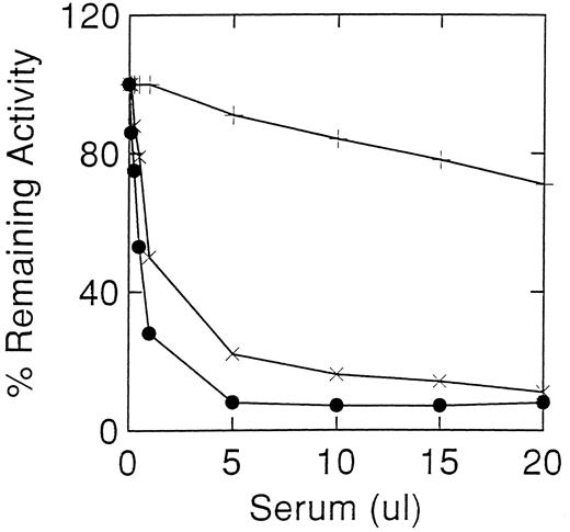 Fig. 3. Inhibition of acid β-glucosidase activity of recombinant normal (×) and N370S (+) enzymes expressed in the baculovirus system and alglucerase (•). Similar inhibitory profiles were obtained with the recombinant and placental acid β-glucosidase when incubated with case 2 serum. The recombinant N370S acid β-glucosidase had a similar activity profile to the normal acid β-glucosidase with non-immune sera (Fig 1).