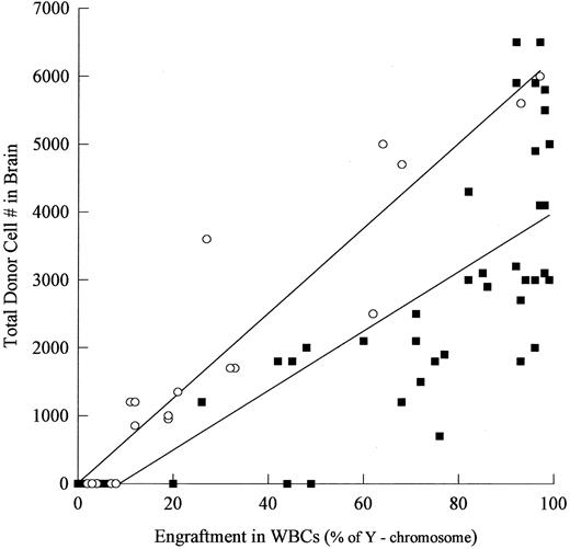 Fig. 5. Correlation of engraftment in the brain and blood of normal and ASMKO newborn mice. (▪) Represents normal animals and (○) represents ASMKO animals. The correlation coefficient for normal animals was 0.704 and 0.889 for ASMKO animals.