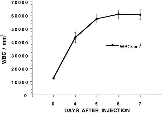 Fig. 1. Changes in the white blood cell (WBC) count of C57BL/Ka mice receiving twice daily injections of G-CSF (125 μg/kg) subcutaneously. Each point represents the mean of a group of six mice, and the brackets show the standard error.