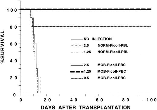 Fig. 2. Survival of lethally irradiated C57BL/Ka mice receiving an intravenous injection of blood mononuclear cells from G-CSF–treated or untreated syngeneic donors. Irradiation and cell injections were performed on day 0. Hosts received either no cells; 2.5 × 106 or 1.25 × 106 Ficoll-purified cells from untreated donors (NORM-Ficoll-PBL); or 2.5, 1.25, or 0.5 × 106 Ficoll-purified cells from G-CSF–treated donors (MOB-Ficoll-PBC). There were 10 mice in each group of hosts. Two experiments were combined.