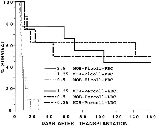 Fig. 6. Survival of irradiated BALB/c hosts receiving an intravenous injection of blood mononuclear cells from C57BL/Ka donors receiving G-CSF. Hosts received 2.5, 1.25, or 0.5 × 106 unfractionated mononuclear cells or 0.25, 0.5, or 1.25 × 106 cells from the low-density fraction of a Percoll gradient. There were 12 mice in each group. Two experiments were combined.