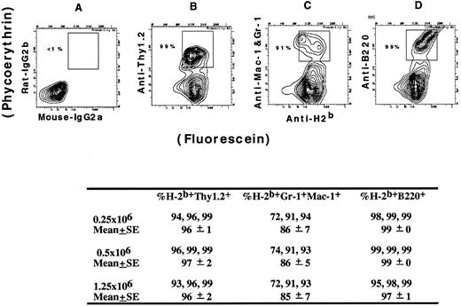 Fig. 7. Flow cytometric analysis of donor-type cells in the blood of BALB/c hosts receiving C57BL/Ka low-density blood mononuclear cells. Donors were treated with G-CSF, and host blood cells were examined more than 160 days after the injection of donor cells. Host mononuclear cells were stained with FITC-conjugated anti–H-2b antibodies and PE-conjugated anti-Thy 1.2, anti–Mac-1 and anti–Gr-1, or anti-B220 antibodies (B, C, and D, respectively). Control staining is shown in (A). Boxes enclose donor-type T cells, macrophages and granulocytes, or B cells. The mean percentage of donor type cells in each category is summarized for groups of three mice receiving three different dosages of cells.