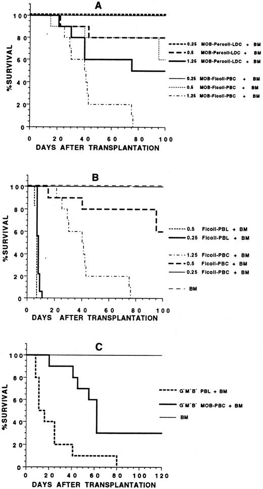 Fig. 8. Survival of irradiated BALB/c hosts receiving 2.5 × 106 C57BL/Ka bone marrow cells plus blood mononuclear cells from C57BL/Ka donors. In (A), hosts received bone marrow (BM) cells plus 0.25, 0.5, or 1.25 × 106 unfractionated blood mononuclear cells or low-density cells from donors receiving G-CSF. There were 10 to 12 mice in each group. In (B), hosts received marrow cells alone or with 0.25 or 0.5 × 106 mononuclear cells from untreated donors or marrow cells with 0.25, 0.5, or 1.25 × 106 mononuclear cells from donors receiving G-CSF. There were 10 to 12 mice in each group. In (C), hosts received marrow cells plus 0.1 to 0.25 × 106 purified CD4+ and CD8+ T cells from untreated donors (G−M−B− PBL) or 0.1 to 0.25 × 106 purified CD4+ and CD8+ T cells from G-CSF–treated donors (G−M−B− MOB-PBC). There were 10 mice in each group.