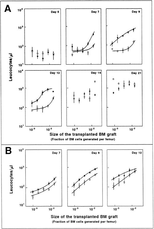 Fig. 3. Analysis of the leukocyte recovery of mice transplanted with equivalent femoral fractions of normal fresh (○) and ex vivo–expanded (9d 5FU + 3d IL-1/SCF; •) BM. The figure represents the results obtained in two independent experiments (A and B). Each point represents the mean and standard error corresponding to four individually analyzed recipients.