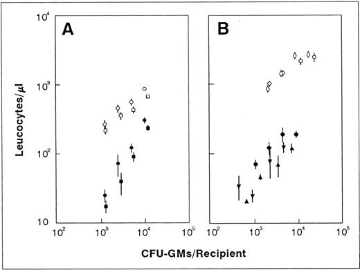 Fig. 5. Analysis of the leukocyte recovery of recipients transplanted with fresh (empty points) and ex vivo–expanded BM grafts (filled points) containing similar numbers of CFU-GMs. In experiment A, total leukocyte counts (circles) and Gr1+ cells (squares) are shown. Experiment B represents the leukocyte values of mice transplanted with fresh BM from normal (○) or 9d 5FU-treated mice (⋄) and with 3d (•), 5d (▾), and 7d (▴) ex vivo–expanded grafts from 9d 5FU-treated mice. Each point represents the mean and standard error corresponding to four recipients individually analyzed 9 days after transplantation.